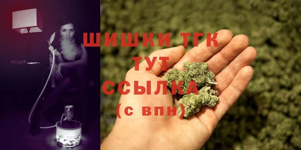 твердый Богданович