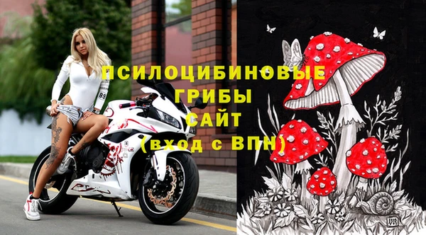 твердый Богданович