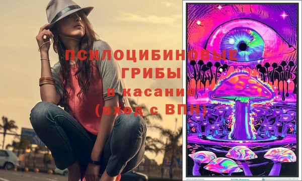 стаф Богородск