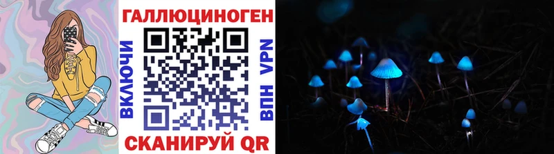 даркнет сайт Георгиевск Псилоцибиновые грибы GOLDEN TEACHER